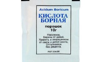 Как действует борная кислота от тараканов