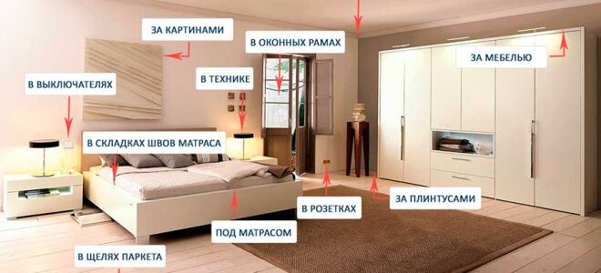 Откуда берутся клопы постельные в квартире