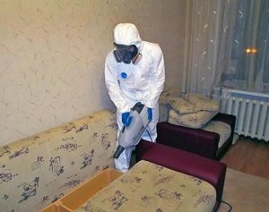 горячий туман от блох