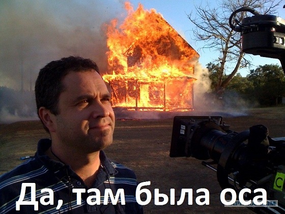 сжигание ос