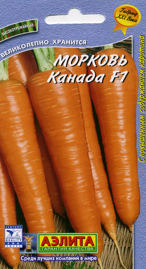 https://poklopu.com/wp-content/uploads/2017/01/Morkov-Kanada.jpg