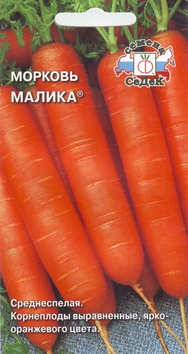 https://poklopu.com/wp-content/uploads/2017/01/Morkov-Malika.jpg