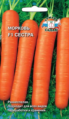 https://poklopu.com/wp-content/uploads/2017/01/Morkov-Sestra.jpg